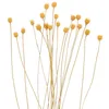 装飾的な花Rattan Diffuserスティックリードディフューザーリードウェディングの香りのエッセンシャルオイルワンド