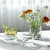 Vases Décor nordique Maison Transparent Hydroponique Fleur Séchée Unique Vase Verres Plante Gobelets Table Vivant Terrarium