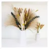 Dekorativa blommor 80st Natural Dried Pampas Grass Bouquet Boho Home Decor Phragmites For Wedding Floral ArrangeMen