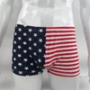 Herrenschwimmschreibungen Trunks Unterwäsche G8424 USA Flag Stern Streifen blau rot gedruckt Nylon spandex301s