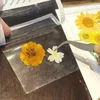 装飾的な花1バッグ乾燥したプレスステッカー手作りクラフトエポキシ樹脂diyブーケカラフルなペンダントジュエリーホームウェディング装飾