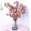 Decorative Flowers Dried Natural Preserved Eucalyptus Leaves Flower Eternal Apple Leaf Wedding Marriage Decoration Accessories Home Dry