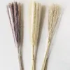 Decoratieve bloemen 72 STUKS Natuurlijke Gedroogde Pampas Gras Phragmites Staart Echte Boeket Planten Bos Rekwisieten Bloemen Boho Home Wedding Decor