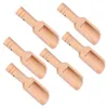 Cuillères 8pcs mesure en bois poignée ronde cuillère feuille de thé cuillères sel cuisine service louche pour grain de café