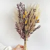 Dekorativa blommor nordiska torkade blommor pampas gräs höstdekoration eukalyptus blad svans bröllop buketter hem dekor vas fyllmedel