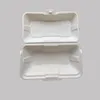 Hot dog packing box commercial disposable plastic American takeout custom hamburger box cake shop rice degradation disposable tableware food containers