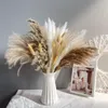 Decoratieve bloemen 72 STUKS Natuurlijke Gedroogde Pampas Gras Phragmites Staart Echte Boeket Planten Bos Rekwisieten Bloemen Boho Home Wedding Decor