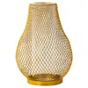 Vasi Nordic Light Luxury Gold Iron Work Vaso in vetro trasparente Decorazione domestica Piano da tavolo Pianta di fiori secchi