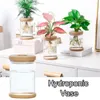 Vazen Scandinavische planten Hydrocultuur Bloemenvaas Kristal Decoratie Accessoires Thuis Kamerdecoratie Minimalistisch Transparant Kunststoffen