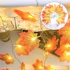 Cordes transfrontalières noël Thanksgiving Halloween fête décoration scène de vacances 1 Led Simulation lumière chaîne
