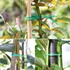 Forniture da giardino 20/30m Impianto Twist Tie Verde Filo rivestito per il giardinaggio Home Office Cavo riutilizzabile Cavo Accessori artigianali