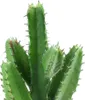 Decoratieve bloemen Bluecell 2 stuks Echt uitziende kunstmatige cactusplant DIY-materiaal voor huisdecoratie Bloemstuk