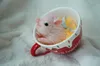 Dockor 4,5 tum realisitc Pig Doll 11cm Bed Silicone Accessories Toy Cute Lifelike Piglet Doll Decompression Toys 230918