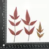 Decoratieve bloemen 60 stuks geperst gedroogde Nandina Domestica Thunb. Bladeren Bloem Plant Herbarium Voor Sieraden Briefkaart Uitnodigingskaart Telefoon