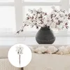 Decorative Flowers 20 Pcs Dried Cotton Flower Bouquet Stem Blooms Household Natural Sprigs