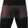 Underbyxor mäns se genom boxare trosor mesh shorts sexiga underkläder bulge påse glänsande trosor sensuella underkläder