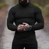 Men's Sweaters Autumn And Winter Warm High-necked Long-sleeved Bottoming Outdoor Leisure Fitness Sports High-end Cotton Wool Fleece Top