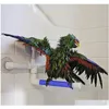 Other Bird Supplies Parrot Bath Shower Standing Platform Rack Parrot Climbing And Biting Perch Parakeet Bir qylVFn bdesports2205