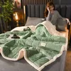 Одеяла молочного флиса на осень-зиму теплые утяжеленные для кроватей европейское утолщенное бархатное одеяло Beibei теплое одеяло 230919