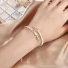 Bracelets de mode Bracelets de créateurs Bracelets de luxe en argent Bracelet en os de bambou Bracelets pour femme Réglable Serpentine Plein Diamants Bracelet 3 Couleurs Casual