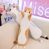 Plush Dolls 50cm Squishy Kitten Plush Toy Stuffed Long Cat Doll Brown Pink Grey 3 Colors Down Cotton Sleeping Companion Comforting Wholesale 230919