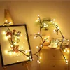 LED STRINGS PARTY 2.5M 60 LED GLOBE BALL BALL FAIRY LIGHTプラグインツリーVine Branch Light Christmas Twinkle Garland String Light for Wedding Party Decor HKD230919