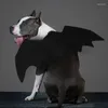 Trajes de gato simulado pelúcia morcego asa cosplay filhote de cachorro traje escuro temático gatinho roupas assustador animal de estimação para fontes de festa de halloween