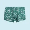 Sous-vêtements hommes glace soie sous-vêtements imprimés doux mode Boxer slips shorts respirant pochette troncs jeune homme culotte décontractée A50