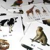 Brinquedos de inteligência Inglês / Chinês Animais Palavras Crianças Montessori Bebê Aprenda Necessidades Diárias Flashcards Imagem Educacional Cognitiva para Crianças 230919