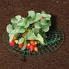 Forniture da giardino Supporto rotondo per fragole Supporto per piante in plastica per fiori rampicanti Supporto per telaio per piante da balcone Scaffale per frutta