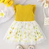 Meisjesjurken Peutermeisjes Mouwloos Zonnebloemprints Strik Geribbelde Tule Jurk Kleding Mini Lange Mouw Baby