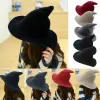 Woolen Modern Witch Women Lady Made From Fashionable Sheep Wool Halloween Festival Party Hat