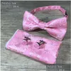 3PCS/Set Classic Paisley Bow Ties Zestaw Męki Mody Bowtie chusterze mankiety