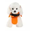 Одежда для собак, ветрозащитный плавающий, яркий дизайн, купальный костюм для домашних животных, пальто для плавания, дышащая задняя ручка