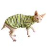 Costumi per gatti Abito per animali domestici con motivo a strisce Abiti senza peli Sphynx per Devon Rex Conis Costume Abiti per gattini