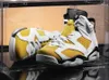 2023 authentic shoes 6 6s yellow ochre basketball sneakers white trainers ct8529-170 womens mens with original box