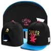 2021 nova marca Cayler Sons snapback chapéus para homens mulheres adultos esportes hip hop rua ao ar livre sol bonés de beisebol n12272S