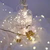 LED Strings Party 20pcs 1-5m Garden Fairy Lamp LED LED عيد الميلاد مصباح النحاس الأسلاك الأسلاك الأضواء لحضور حفل زفاف CR2032