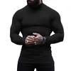 Men's Sweaters Autumn And Winter Warm High-necked Long-sleeved Bottoming Outdoor Leisure Fitness Sports High-end Cotton Wool Fleece Top