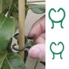 Forniture da giardino 100PCS Clip di verdure Fiore Giardinaggio Bonsai Vite Innesto fisso Supporto per piante Serra Staffa Riutilizzabile