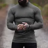 Men's Sweaters Autumn And Winter Warm High-necked Long-sleeved Bottoming Outdoor Leisure Fitness Sports High-end Cotton Wool Fleece Top