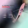 Seksspeeltje Massager Krachtige Hoge Frequentie g-spot Vibrators voor Vrouwen Tepel Clitoris Stimulator Vagina Vrouwelijke Masturbator Volwassen Rekwisieten