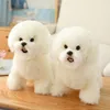 Plush Dolls 9 Kinds Dog Simulation Bichon Frise Plush Dog Toy Super Cute Likelife Corgi Dog Doll Stuffed Animal Maltese Dog Puppy Pets Toys 230919