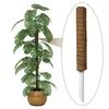 Fournitures de jardin 1PC plante escalade pôle coco mousse bâton palmier vignes Support Extension plantes d'intérieur Creeper