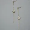 Pendientes de tuerca con sello 925, chapado en plata, oro de 14 quilates, borla larga, flor de circón, Fou, temperamento dulce para mujer, accesorios de joyería de boda