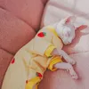 Trajes de gato Roupas Sphynx Casaco de Algodão Mangas Compridas Macio Grosso Undershirt para Gatinhos Cães Devon Rex Bonito Macacão de Quatro Pernas no Inverno