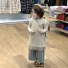 Ensembles de vêtements style coréen vêtements pour enfants printemps et automne filles à la mode tricoté gilet dentelle bas chemise jean ensemble 230919