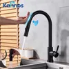 black stainless faucet