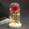 Christmas Decorations Beauty And Beast Rose light beautiful rose and pink beast on Crystal Dome for mothers day Valentine's gifts 230919