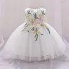 Robes de fille bébé filles dentelle robe à fleurs robe de fête de mariage arc baptême princesse pour blanc 1er anniversaire formel Gala enfant vêtements